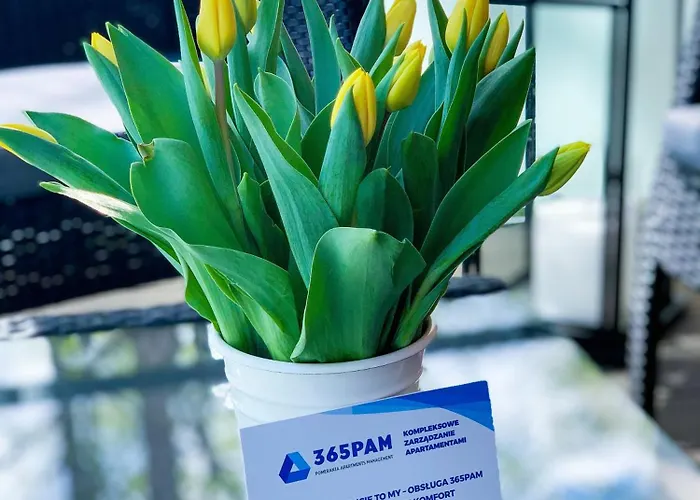 365pam - Szafirowa Mierzeja Mielno (Koszalin)